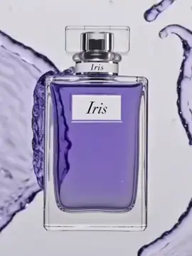 Prompt-to-output learning loop